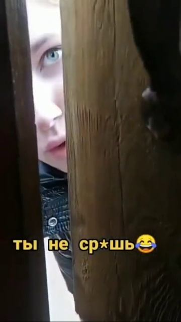 Муж пошел в туалет с телефоном | прикол смотреть онлайн