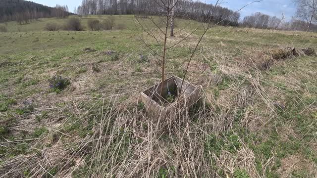 Брошенная пасека смотреть онлайн
