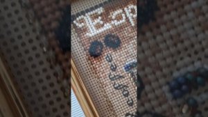 Кофейные буклеты