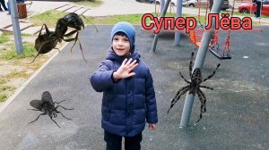 Насекомые на детской площадке