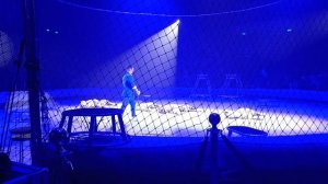 выступление с тиграми 🐯 # Ярослав Запашный