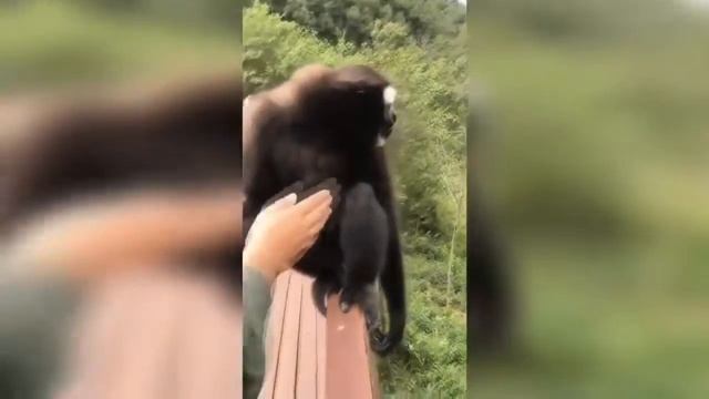ЛУЧШИЕ ПРИКОЛЫ 2018 АВГУСТ РЖАКА ДО СЛЕЗ ХОЧУ МОСКВИЧА
