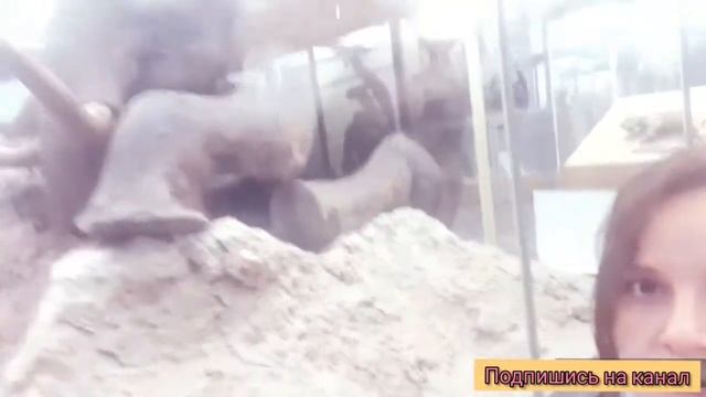 Гуляем по Питеру/ интересные места в  Питере/