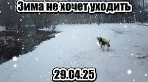 Зима не хочет уходить 29.04.25