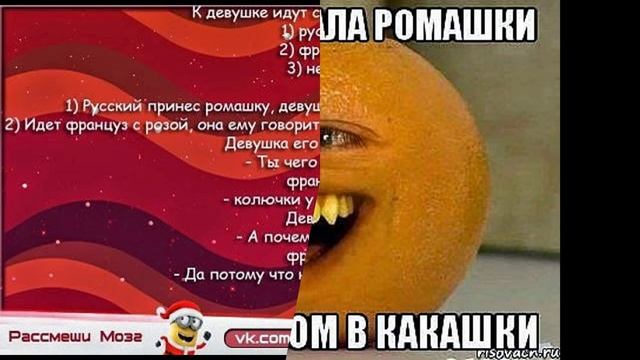 смешные картинки про котиков и не только смотреть онлайн