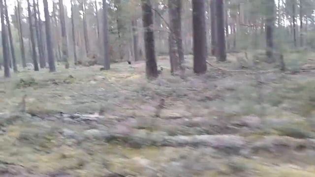 Тверская обл., отпуск 2020 смотреть онлайн