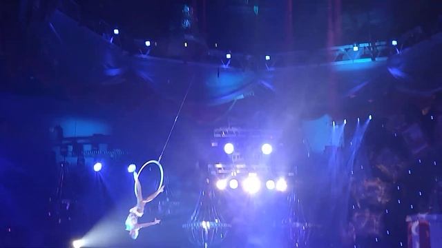 "ПРО ПЕГАСА", ШОУ " БУРЛЕСК ", ВЛАДИВОСТОКСКИЙ ЦИРК смотреть онлайн