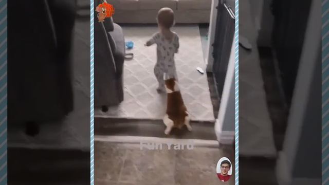 Смешные видео с животными в 2023 году🐕 смешные милые кошки и собаки 🐈смешные видео||Веселый двор смотреть онлайн