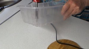 Проверяю Новый способ черенкования гортензий и роз.