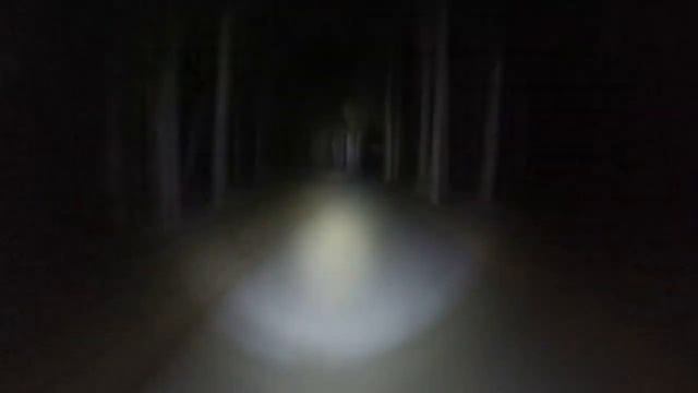 поездка ночью
