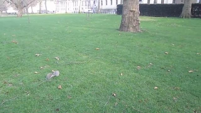 Я в Лондоне. смотреть онлайн