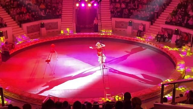 ХИЩНИКИ МОРСКИХ ГЛУБИН В НОВОЙ ПРОГРАММЕ Магия великих слов в Нижнетагильском цирке