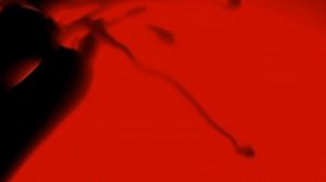 Коты воители/Клип:"Тихо скрипит музыкальная шкатулка"