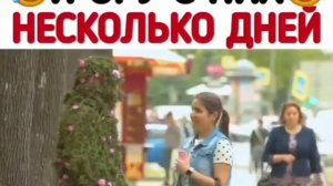 Пранк живой куст
