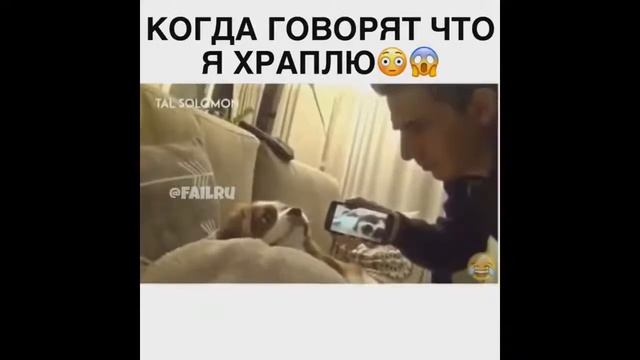 СМОТРИШЬ НА РАБОТЕ? Смешные ПРИКОЛЫ до слёз | LOL BEST #1