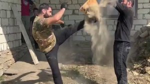 😄Аловсет Мамины помогает другу строить дом.