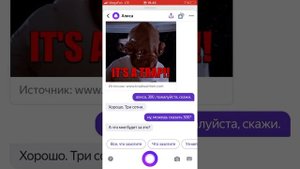 Приколы с Алисой #1