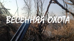 Открытие весенней охоты 2025