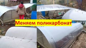 Как мы меняли поликарбонат в парнике