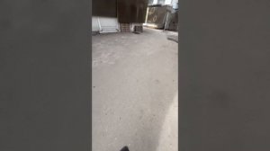 Лучшие КРУЖОЧКИ из ТГ СИМИКСА! (Semmyxhf)