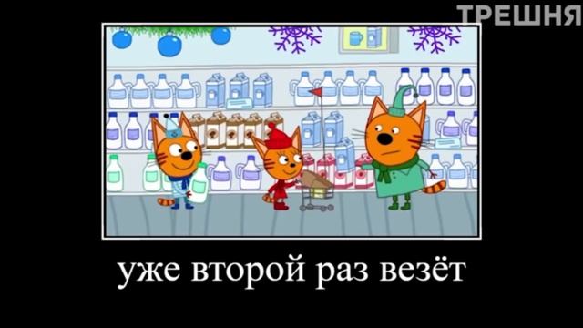 смешные 3 кота.