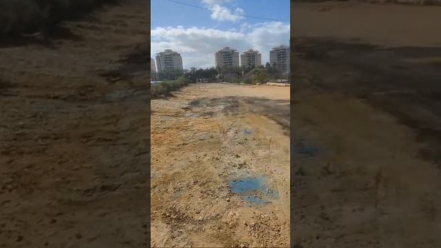 Выставка кошек и фестиваль мыльных пузырей 16 марта Ришон Лецион смотреть онлайн