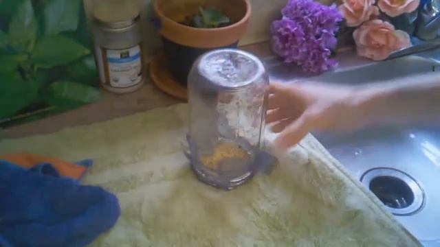 How to Grow Alfalfa Sprouts смотреть онлайн