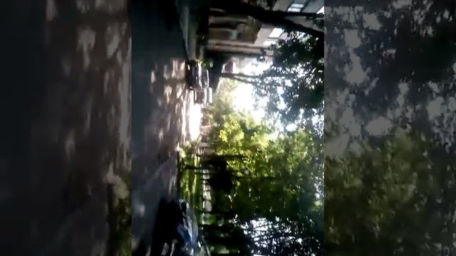 Обкурились/Гоша смотреть онлайн