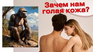 Голая эволюция: Как потеря шерсти сделала нас людьми