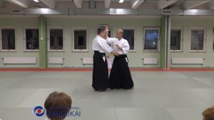 17 Aikido Shomen Uchi Ikkyo Omote Shishiya Sensei Malmö 2019