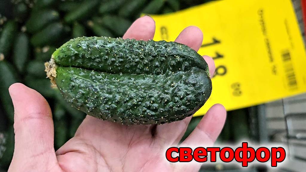 Бегом в Светофор.Эти новинки раскупят за считанные часы.Май 2025