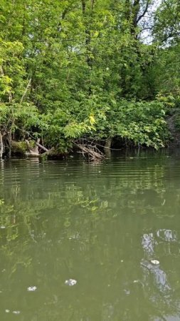Курск, река Сейм 1 мая