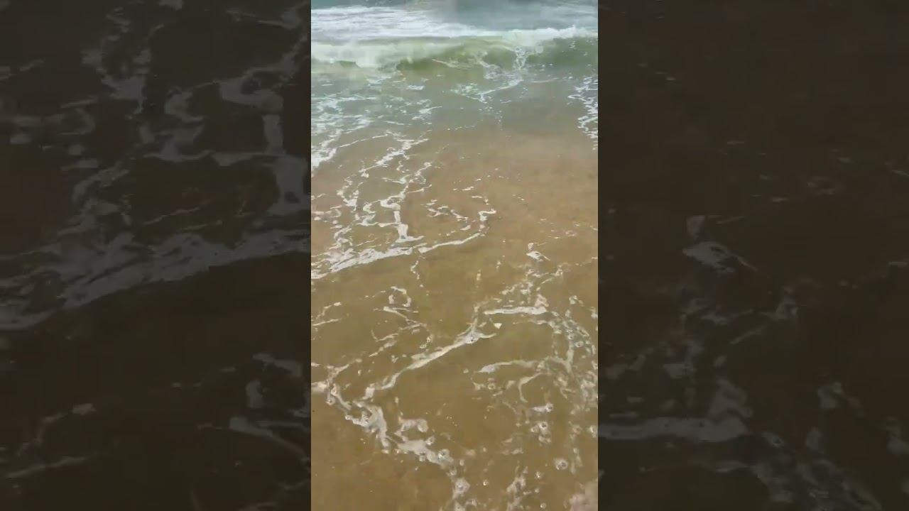 Чёрное море сегодня смотреть онлайн