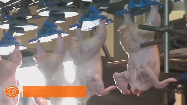 Презентационный ролик "Черкизово" для выставки в Абу-Даби (ОАЭ) смотреть онлайн