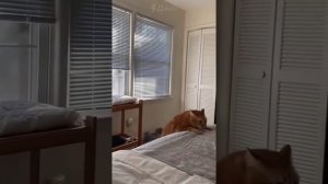 1000039009.mp4