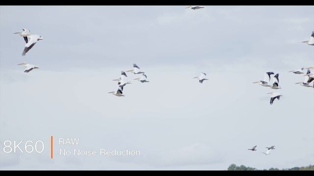 ПОТРЯСАЮЩЕ: Canon R5 Mark II превосходит ВСЕ гибридные камеры - и большинство кинокамер.