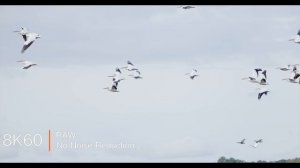 ПОТРЯСАЮЩЕ: Canon R5 Mark II превосходит ВСЕ гибридные камеры - и большинство кинокамер.