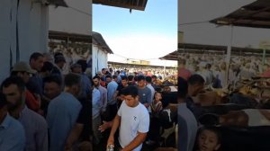 Tajikistan🇹🇯МОЛБОЗОР МИРЗО в прямом эфире!