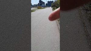 Красносельский, дорога на пляж