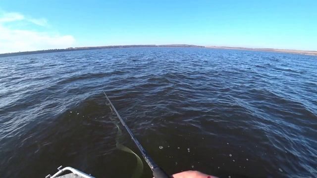 окуни гигинты , жор судака , рыбы море смотреть онлайн