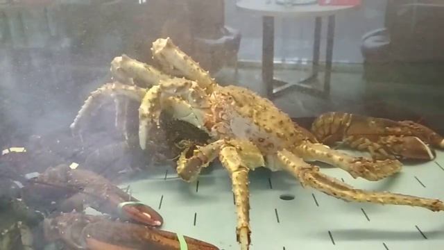 прямое включение из камеры смертников смотреть онлайн