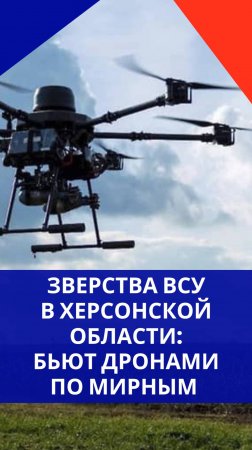 ВСУ атаковали рынок в Алёшках Херсонской области и начали добивать выживших