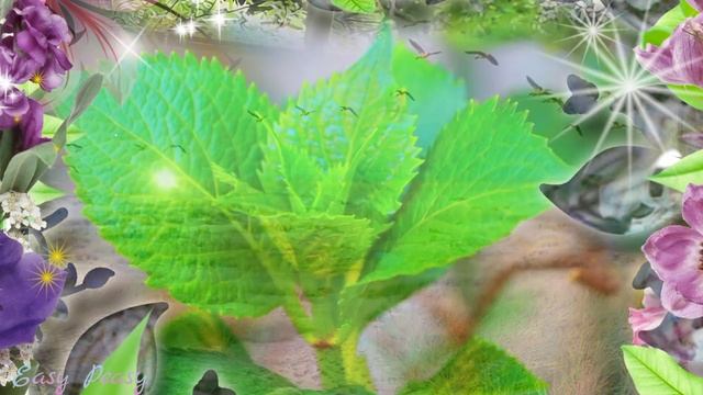 🥀🌞Доброго  утречка 🥀 благословенного дня! 🌞🌞Красивая музыкальная открытка