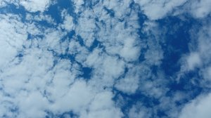 Россия прощай я уеду в Дубай премьера    05.01.2025 год