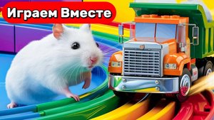 Лабиринт для Хомяка 🐹 Умный Хомяк: невероятный побег по разноцветному лабиринту с ловушками 🐹