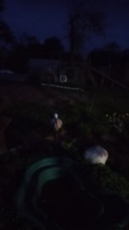звуки природы.mp4
