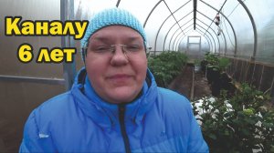Каналу 6 лет!