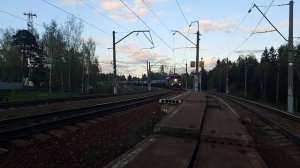 2ТЭ116 1717 поморгал буферами