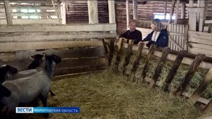 Экс-КВНщик открыл новое фермерское хозяйство в Шекснинском районе