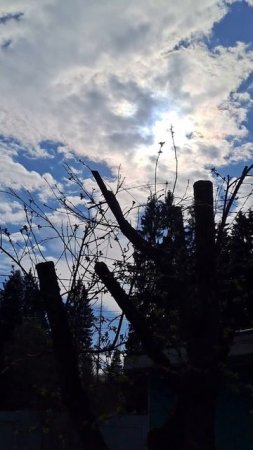 На даче. Весна. Деревня. Греюсь на солнышке. Последние числа апреля.